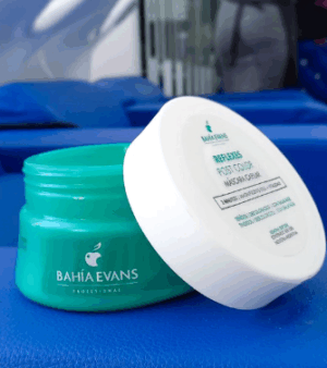 REFLEXES POST COLOR MASCARA CAPILAR X 300GRS - BAHIA EVANS