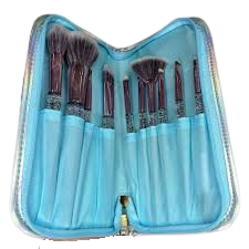 Set de Brochas Tornasol x 10 u -