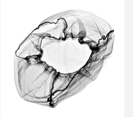 Cofia de Tul con Elastico