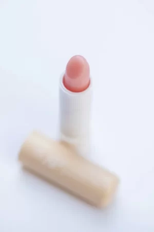 Labial Maxilip