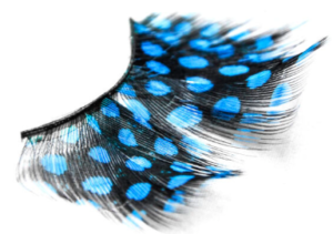 Pestañas con Pluma   cod p135